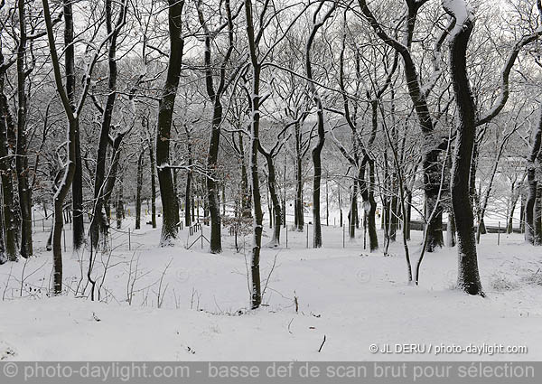 parc de Cointe sous la neige